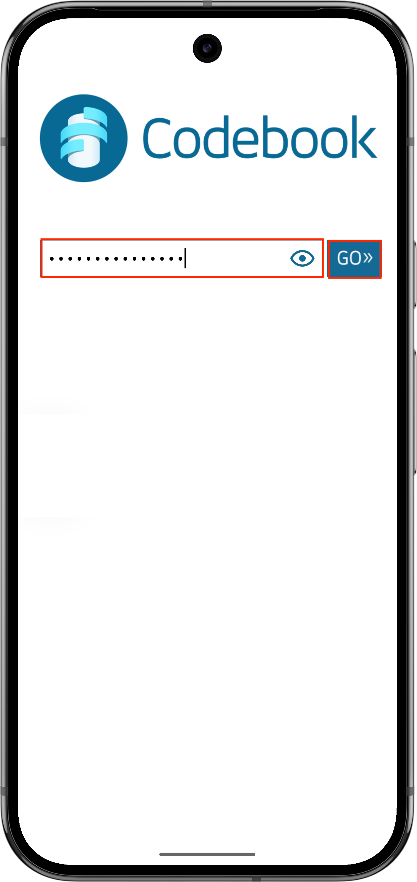 Enter Master Password to Launch Codebook