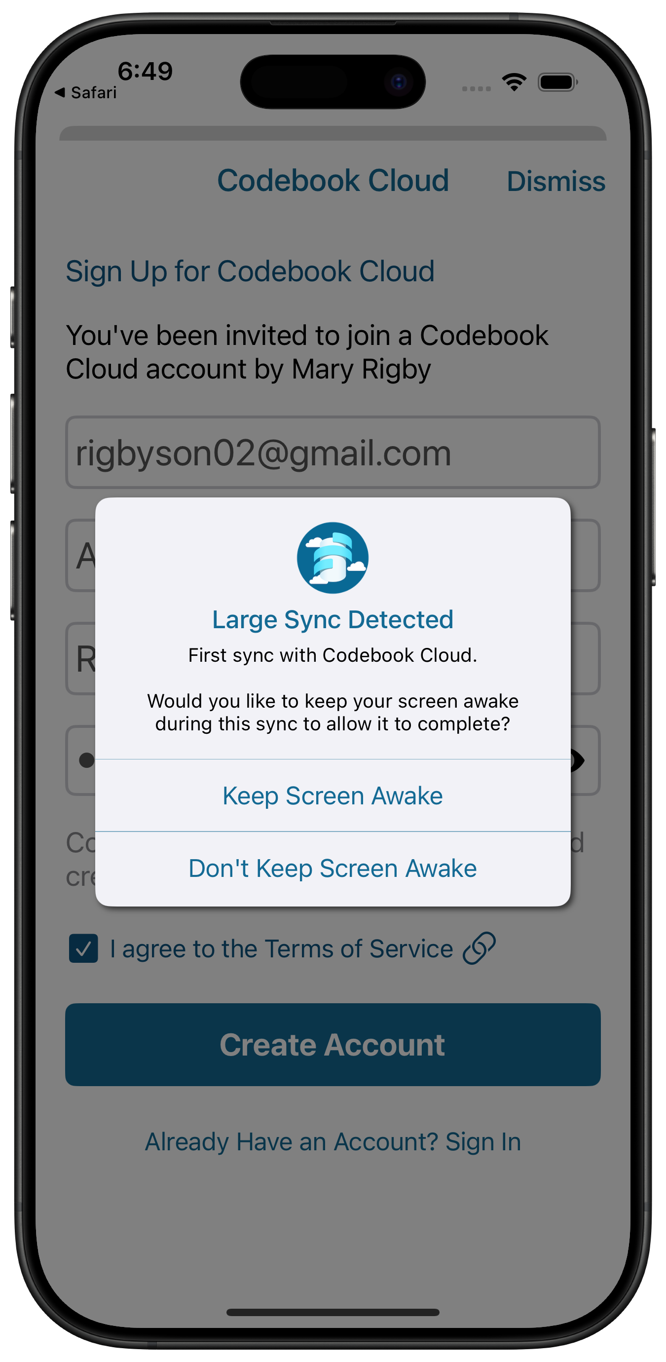 Codebook Cloud Large Sync Detected