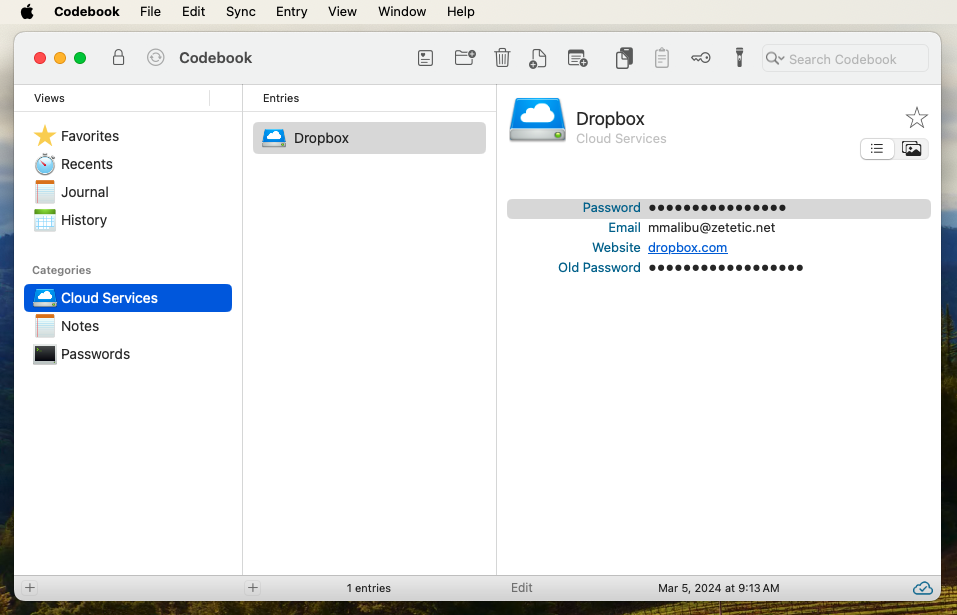The copied Entry in its new Category