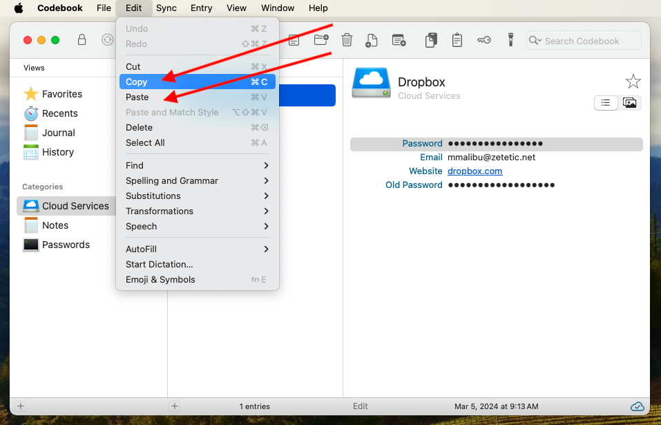 Pasted Entry in the Edit Menu