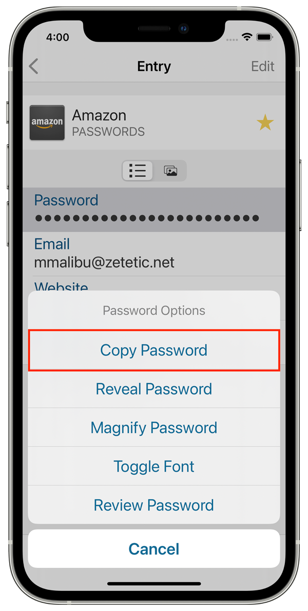 Copy Password item on the Password Options menu