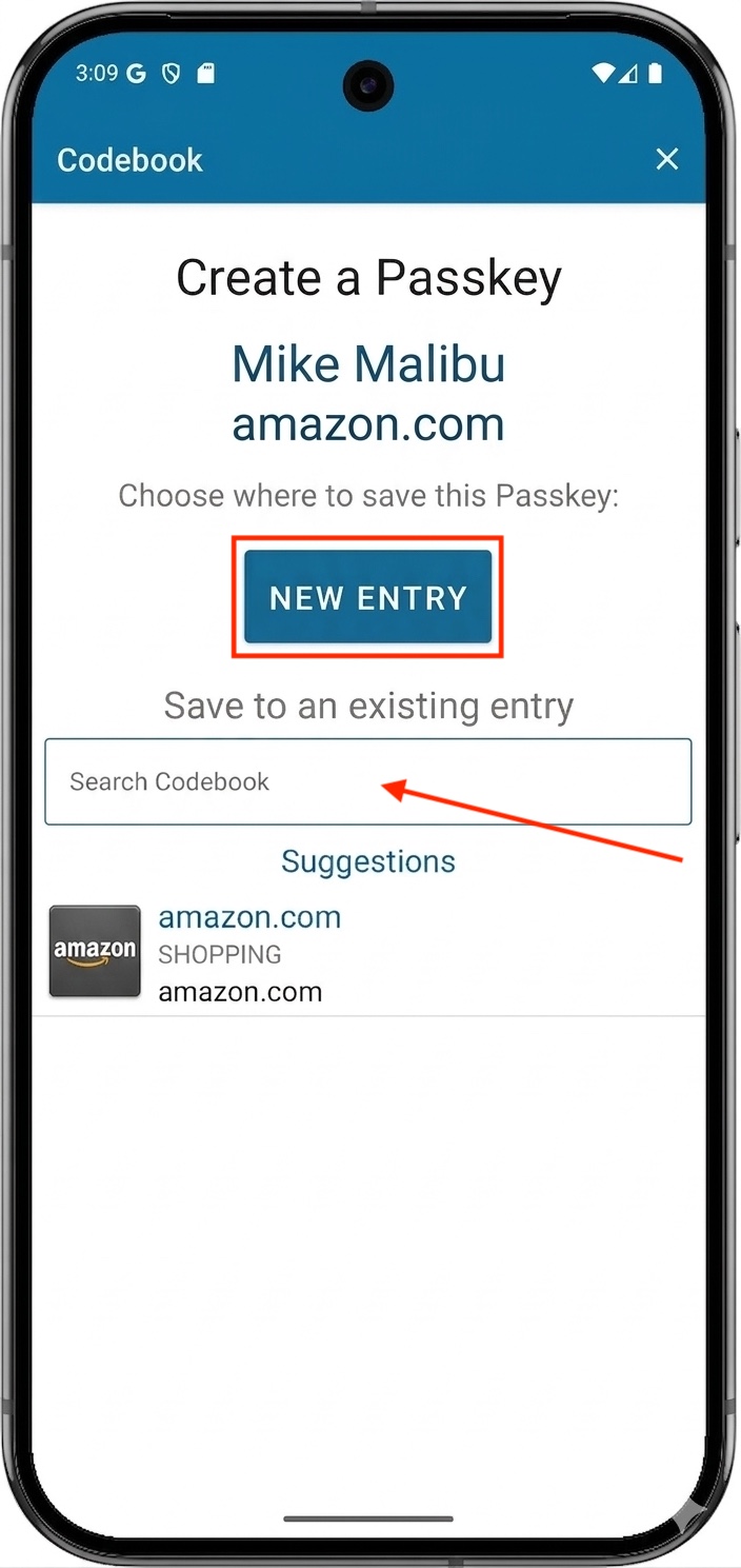 Save this Passkey to Codebook - with options
