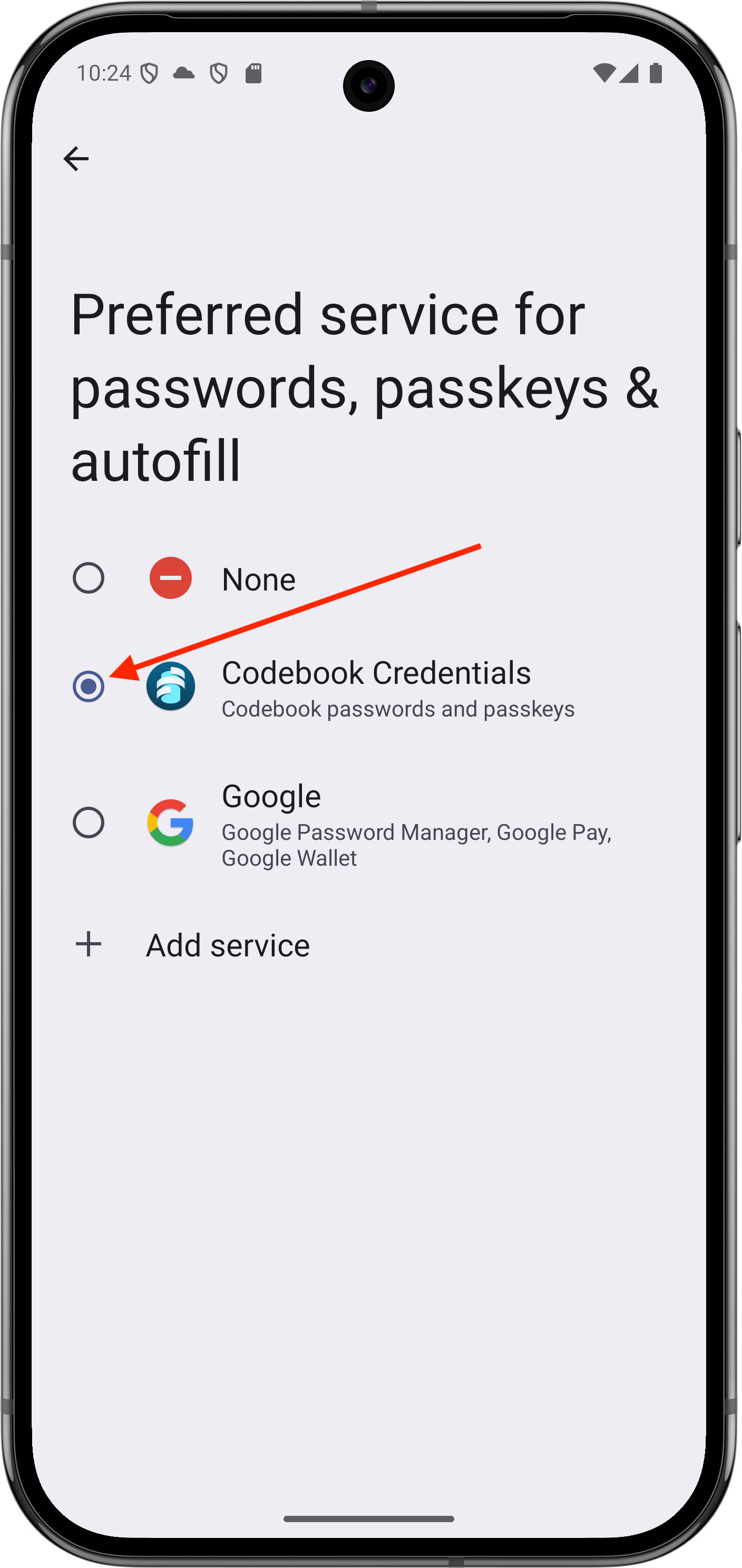 System Settings - Enable Passkeys in System Settings