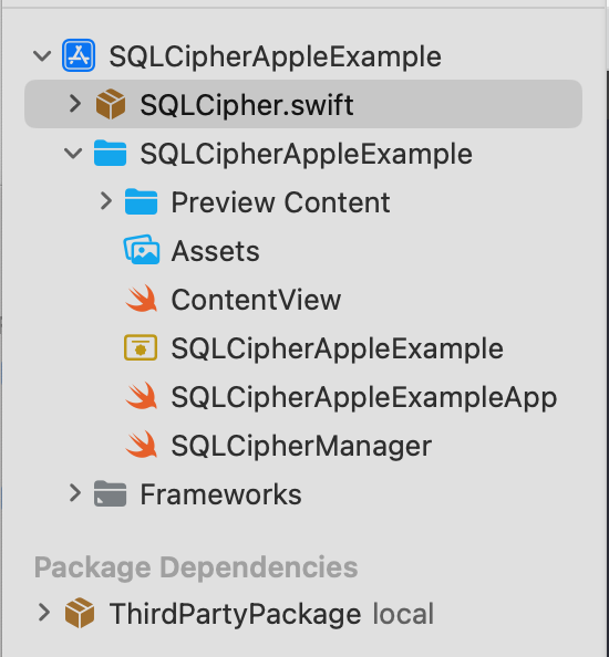 Package Structure with Local Override