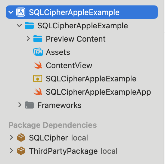 Third Party Package Structure