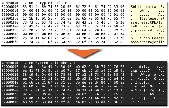 encrypted database demonstration